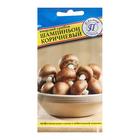 Семена Мицелий грибов "Шампиньон коричневый", 60 мл - Фото 1