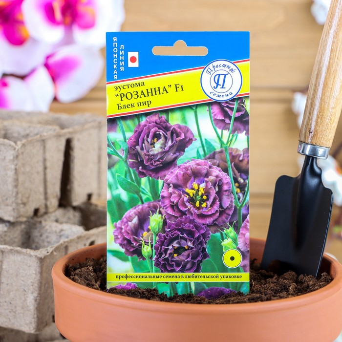 Семена цветов Эустома "Розанна" Блек пир F1, драже, 3 шт - Фото 1
