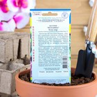 Семена цветов Эустома "Розанна" Блек пир F1, драже, 3 шт - Фото 2