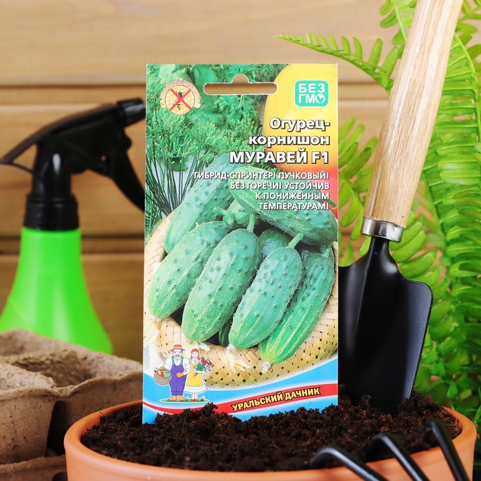 Семена огурец «Муравей F1», 10 шт. - Фото 1