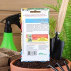 Семена огурец «Муравей F1», 10 шт. - Фото 2