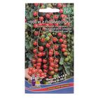 Семена Томат 1000 и 2 помидорки 20шт - Фото 1