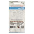 Семена Свекла Тёмная ночь2 г. - Фото 4