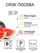 Семена Арбуз «Уральский Скороспел», F1, 3 шт., «Уральский дачник» - Фото 4