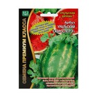 Семена Арбуз "Уральский Скороспел", F1, 3 шт - Фото 5