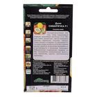 Семена дыня «Сибирячка F1», 10 шт. - Фото 2