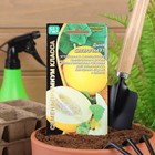 Семена дыня «Сибирячка F1», 10 шт. - Фото 3