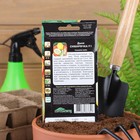 Семена дыня «Сибирячка F1», 10 шт. - Фото 4