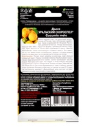 Семена дыня «Уральский Скороспел», 6 шт. - Фото 4