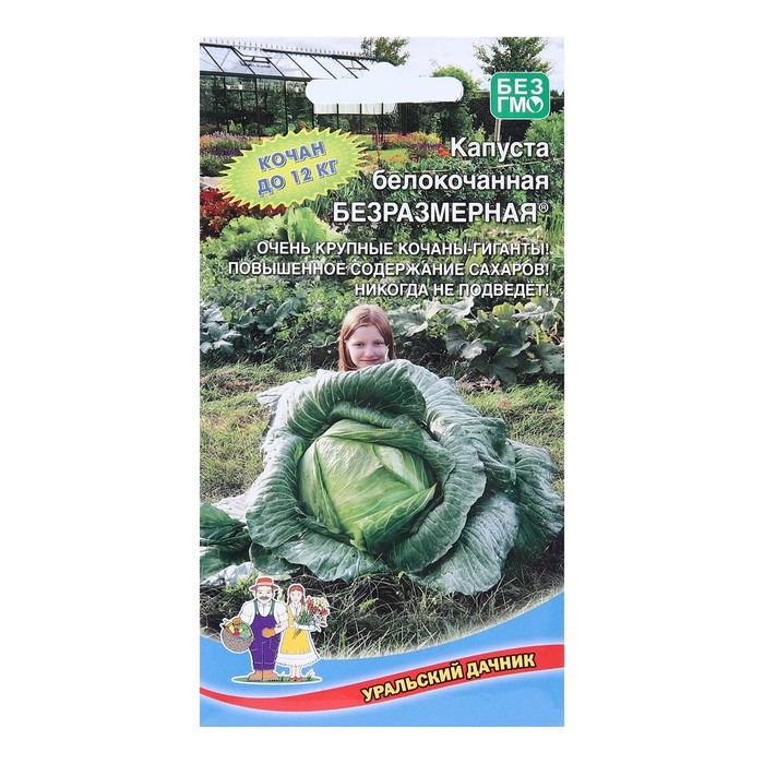 Семена Капуста белокочанная «Безразмерная», 0.3 г, «Уральский дачник» - Фото 1