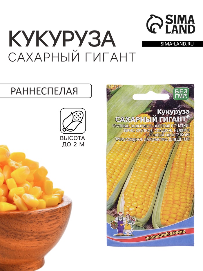 Семена Кукуруза «Сахарный Гигант», 5 г, «Уральский Дачник» - Фото 1