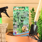 Семена огурец «Маленький Проказник F1», 8 шт. - Фото 1