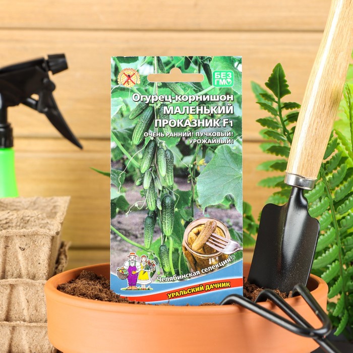 Семена огурец «Маленький Проказник F1», 8 шт. - Фото 1