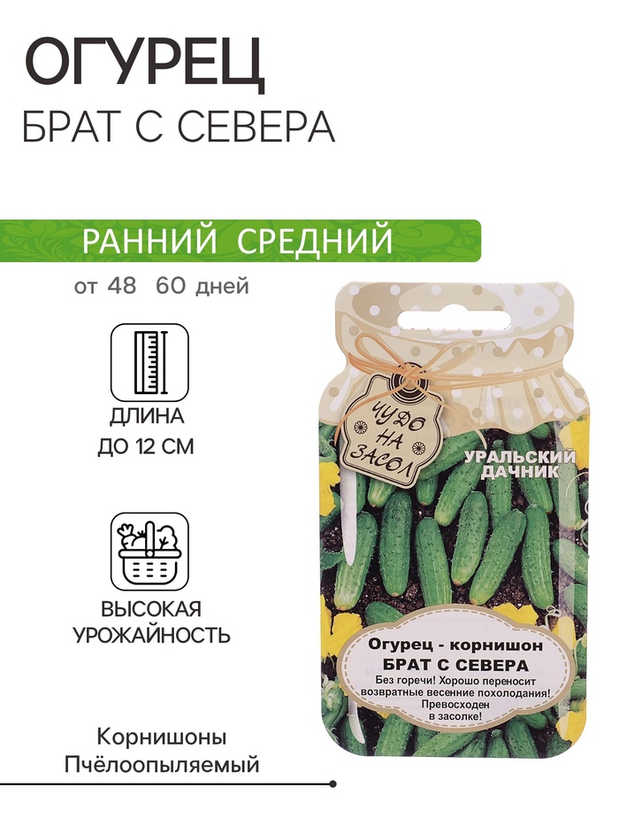 Семена огурца "Брат с Севера", 10 шт. - Фото 1