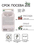 Семена огурца "Брат с Севера", 10 шт. - Фото 2