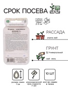 Семена огурец «Конни F1», 10 шт. - Фото 2