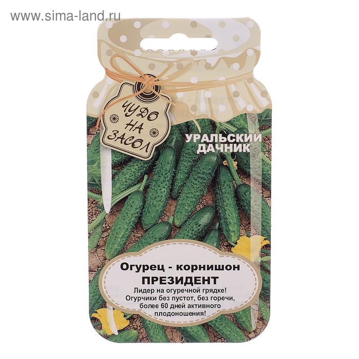 Семена огурец корнишон «Президент», 10 шт. - Фото 1
