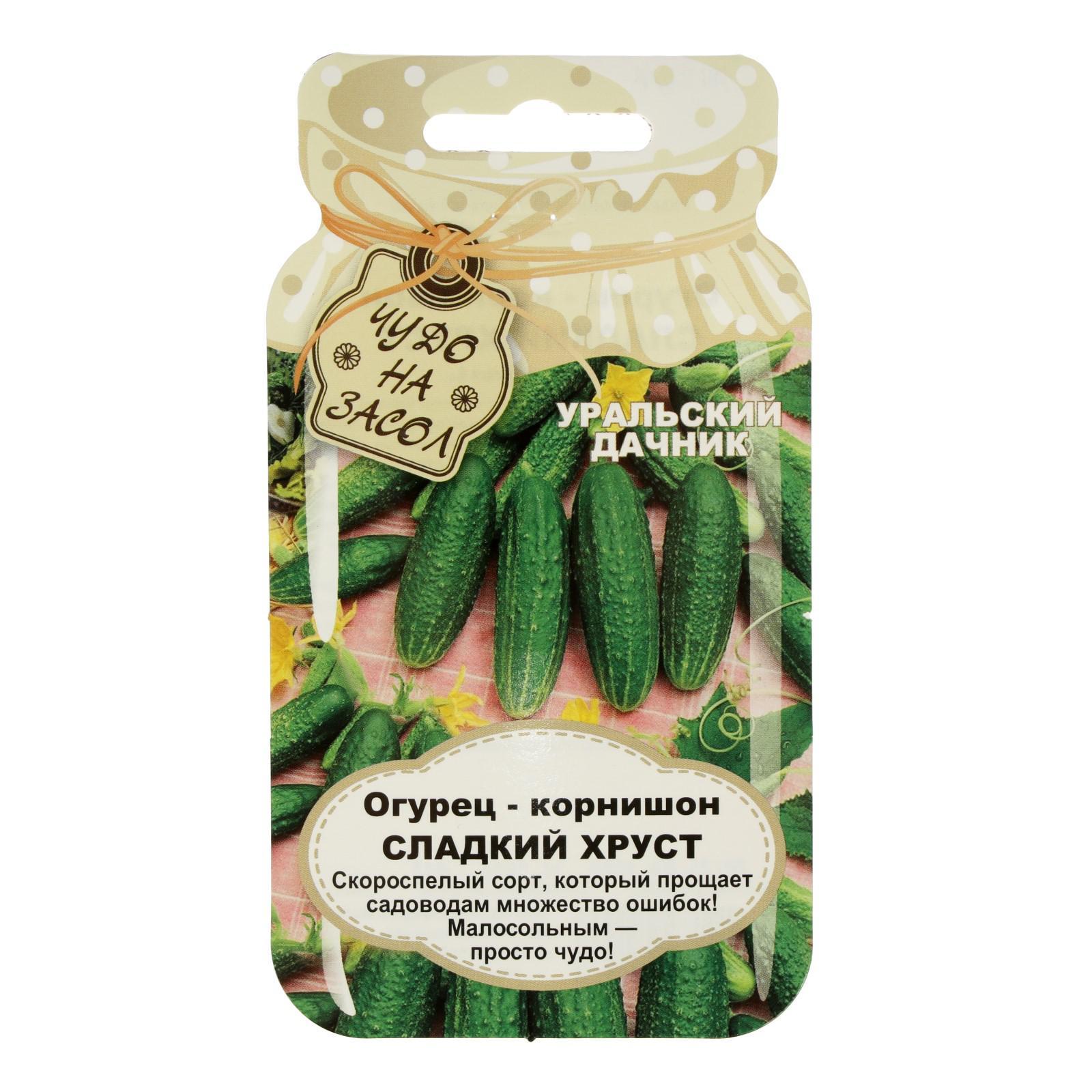 Огурец Сладкий хруст: цвет и урожайность