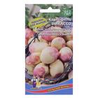 Семена Картофель "Пикассо", 0,02 г - Фото 3