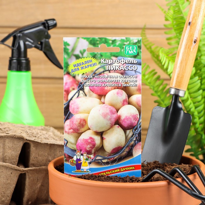 Семена Картофель "Пикассо", 0,02 г - Фото 1