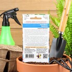 Семена Картофель "Пикассо", 0,02 г - Фото 2