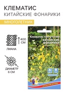 Семена цветов Клематис "Китайские Фонарики", 12 шт. - Фото 1