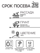 Семена цветов Клематис "Китайские Фонарики", 12 шт. - Фото 4