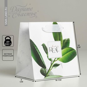 Пакет подарочный ламинированный квадратный, упаковка, «Листья», 14 х 14 х 9 см