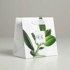 Пакет подарочный ламинированный квадратный, упаковка, «Листья», 14 х 14 х 9 см - Фото 2