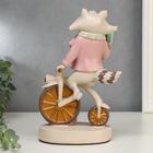 Сувенир полистоун "Енотик на велосипеде" 24х15,5х9,7 см - фото 21161113