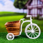 Декоративное кашпо для цветов «Велосипед Home & Garden», 26×12×18 см, дерево, пластик, белое - Фото 10