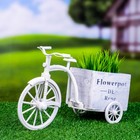 Декоративное кашпо для цветов «Велосипед Flowerpot de Rose», 26×12×18 см, дерево, пластик, белое - Фото 8