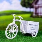 Декоративное кашпо для цветов «Велосипед Flowerpot de Rose», 26×12×18 см, дерево, пластик, белое - Фото 9