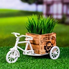 Декоративное кашпо для цветов «Велосипед Home & Garden», 20.5×12×10.5 см, дерево, пластик, белое 5274537