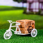 Декоративное кашпо для цветов «Велосипед Home & Garden», 20.5×12×10.5 см, дерево, пластик, белое 5274537