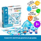 Настольная игра «Бродилка. Путешествие на Север», 3+ - фото 318419262