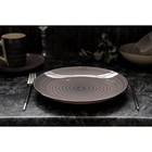 Тарелка Доляна «Морской мир», d=27 см, керамика, коричневая - Фото 4