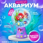 Набор для опытов «Живой аквариум: Русалочка», вырасти травку - Фото 1