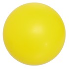 Мяч, диаметр 230 мм - Фото 1