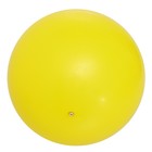 Мяч, диаметр 230 мм - Фото 2