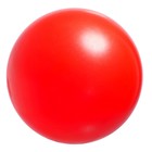 Мяч, диаметр 230 мм - Фото 8