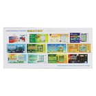 Электронный звуковой плакат «Говорящая азбука», 8 режимов - Фото 3