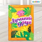 Игрушка «Лучший друг» с аксессуарами - Фото 3