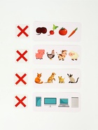 Развивающий набор «Логические ряды. Найди лишнее», 3+ - Фото 4