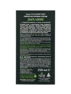 Сироп «Дыхание. Сосновый мёд», 250 мл - Фото 6