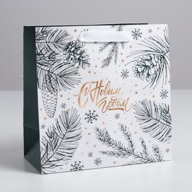 Пакет подарочный ламинированный квадратный «Еловые шишки», 22×22×11 см