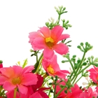 букет 30 см ромашка садовая - Фото 3