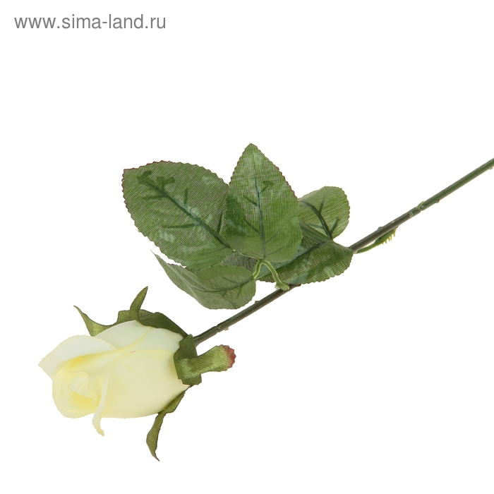 цветы искусственные роза микс (кремовая, белая) 70 см - Фото 1