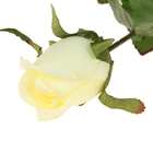 цветы искусственные роза микс (кремовая, белая) 70 см - Фото 3