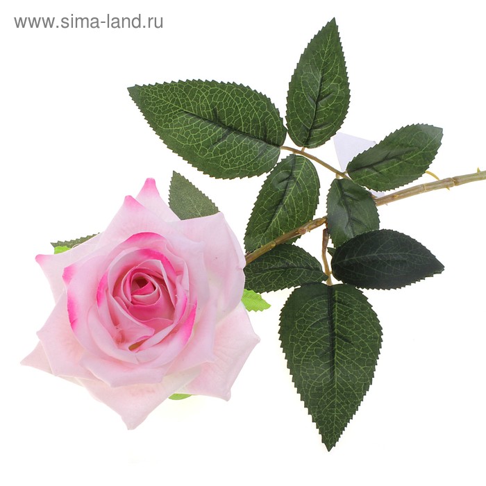 цветы искусственные роза раскрытая розовая 70 см - Фото 1